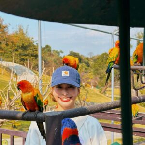 Hsing-Chen Yeh Instagram - 🪶
1. 🦜與⭐️
2. 20分鐘後吵到耳朵有點受不了
3. 好的，知道了
4. 本次兌換券已核銷
5. 白色羊駝與白色衣服的人
6. 🦩🦩🦩🦩🦩🦩
7.  羊駝美人
8. 海鹽烤焦糖豆花
9. 與南投的艷陽聯合舉辦
10. 永保安康 旅途愉快🫶🏼
