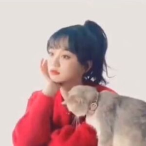 Hu Yixuan Instagram - -
可爱的🐈和我