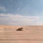 Hwang Seung-eon Instagram - #dunebashing in #qatar #desert 유툽에 1년 지난 카타르 여행이 있다는 걸 알고 계십니꽈?! 프로필 링크에🫶🏻