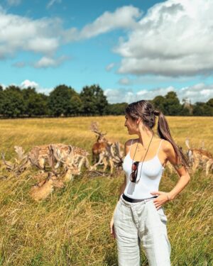 Ifigeneia Tzola Instagram - You can call me “Deer” 🦌♥️
Swipe right for those cuties 
.
.
#deer #dublin #animal #holidays #summer #2023 ☀️