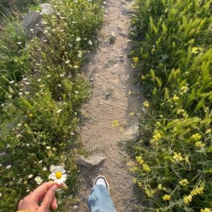 Ifigeneia Tzola Instagram - 🌼 Μ Α Ν Η μου αγαπημένη 🌼
•Καλή Σαρακοστή σε όλους !!!!

#mani #spring #yellow #paradise