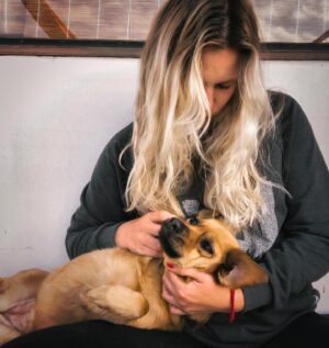 Ignacia Allamand Instagram - Algunos andan por ahí diciendo que es el #diadelgato 🐈 
Los gringos suben fotos de sus mascotas porque es #loveyourpetday 🐶🐱🐹🐰🦄 
Para mi todos los días son buenos para homenajear a Cumbia Andrea, también conocida como Cumbia Andreievna Fatmagul zarina de bitchlanding 👑 
La foto es de nuestros días de cuarentena en Maitencillo, inciertos y raros pero de los más felices de nuestra historia como familia, inolvidables... 🌅
Yo siempre he valorado la existencia de este bicho inmundo, pero durante la pandemia se hizo aún más evidente que su compañía es causal de vida o muerte para mi 🌟
Hoy, en la playa del Abanico, hay jornada de adopción de @maitencilloadopta7257 por si anda buscando al verdadero amor de su vida y hasta ahora los humanos no han estado a la altura del papel 😜 
Con este no hay posibilidad de fallar, es incondicional, profundo, leal y para siempre. Garantizado 😉
Abrazo a todos, buen fin de semana.
Tomen agüita y denle agüita a sus pichurros, pa que fluya pa todos ✌🏼