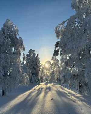 Iina Kuustonen Instagram - Kaupallinen yhteistyö @pyhaskiresort kanssa🤍

Pyhä-Luoston kansallispuisto on yksi mun lempipaikoista maailmassa. Luonnon rauha ja kauneus siellä on hyvin erityistä. 

Tunturiin pääsee myös helposti Pyhän majoituksesta, joka on keskellä rinnettä. 

Jonkun mielestä ehkä järjetöntä kiivetä tunti tunturiin -20 asteen pakkasessa, syödä huipulla eväitä, laittaa kamat valmiiksi ja laskea minuutin alas. Mutta mun mielestä ihan parasta!

@pyhaskiresort 
#pyhäluostonkansallispuisto 
#vapaalasku
#lappi
