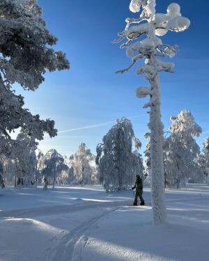 Iina Kuustonen Instagram - Kaupallinen yhteistyö @pyhaskiresort kanssa🤍

Pyhä-Luoston kansallispuisto on yksi kauneimmista paikoista, mitä tiedän. Kannatti taas kiivetä tunturiin! Aina se kannattaa🩵

#pyhäluostonkansallispuisto 
#vapaalasku 
#split 
#lappi 
#suomenluonto