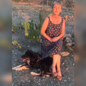 İlkay Akkaya Instagram - #Zeytin Benim karam dünyada tektir.