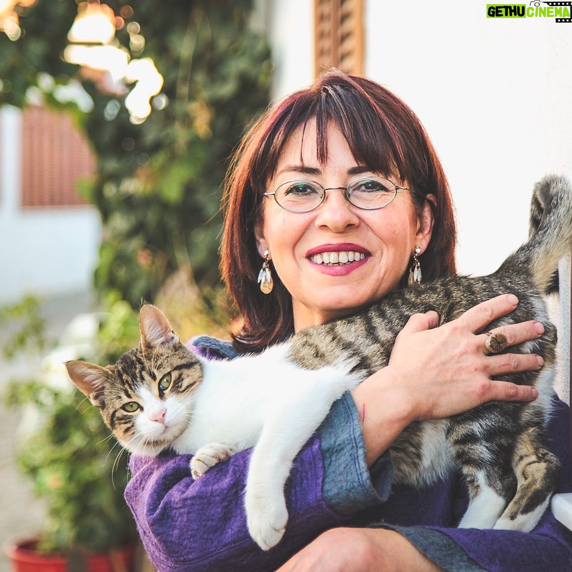 İlkay Akkaya - 7.6K Likes - Bu zor zamanlarda dostlarımızı unutmayalım. .
Photo by @resatoden
.
.
.
#savetheanimals #sokakhayvanları #kedi #köpek #cat #catsofinstagram #catlovers #doglover #animals #hayvansevgisi #hayvanlar #animal #istanbul #izmir #ankara #antalya #tbt