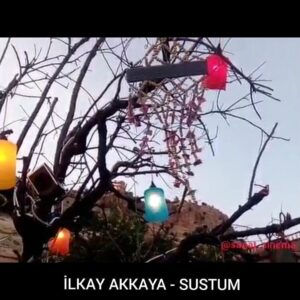 İlkay Akkaya Instagram - İlkay Akkaya - Sustum .
.
.

@sanat_sinema 
#ilkayakkaya #müzik #müzikkutusu #spotify