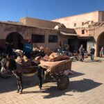 Ilse Salas Instagram - Una vez en #marrakech