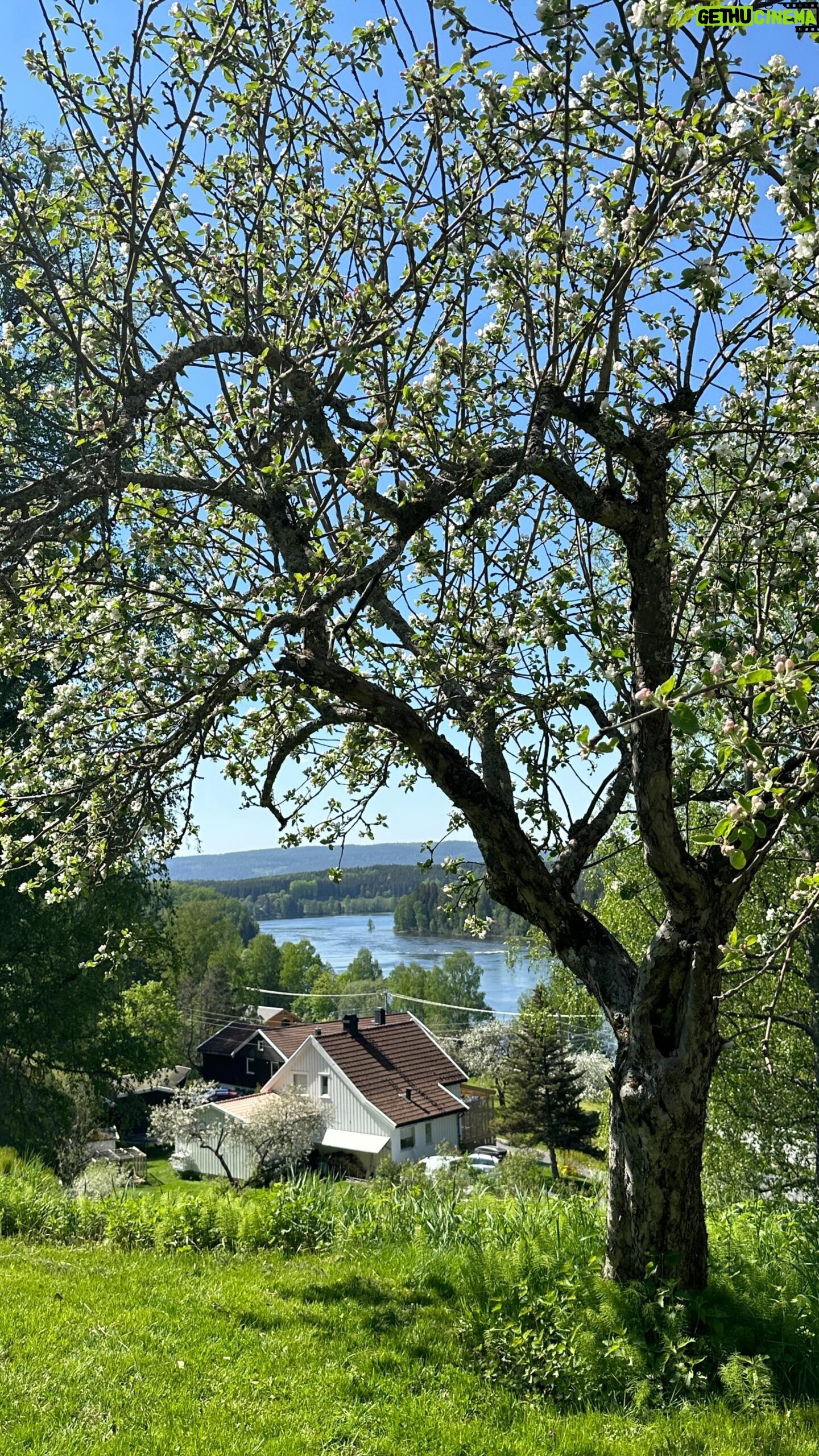 Iman Meskini Instagram - Tusen takk for lånet, og for at jeg fikk føle meg så fin på 17. mai ❤️🇳🇴 / annonse @emblabunader