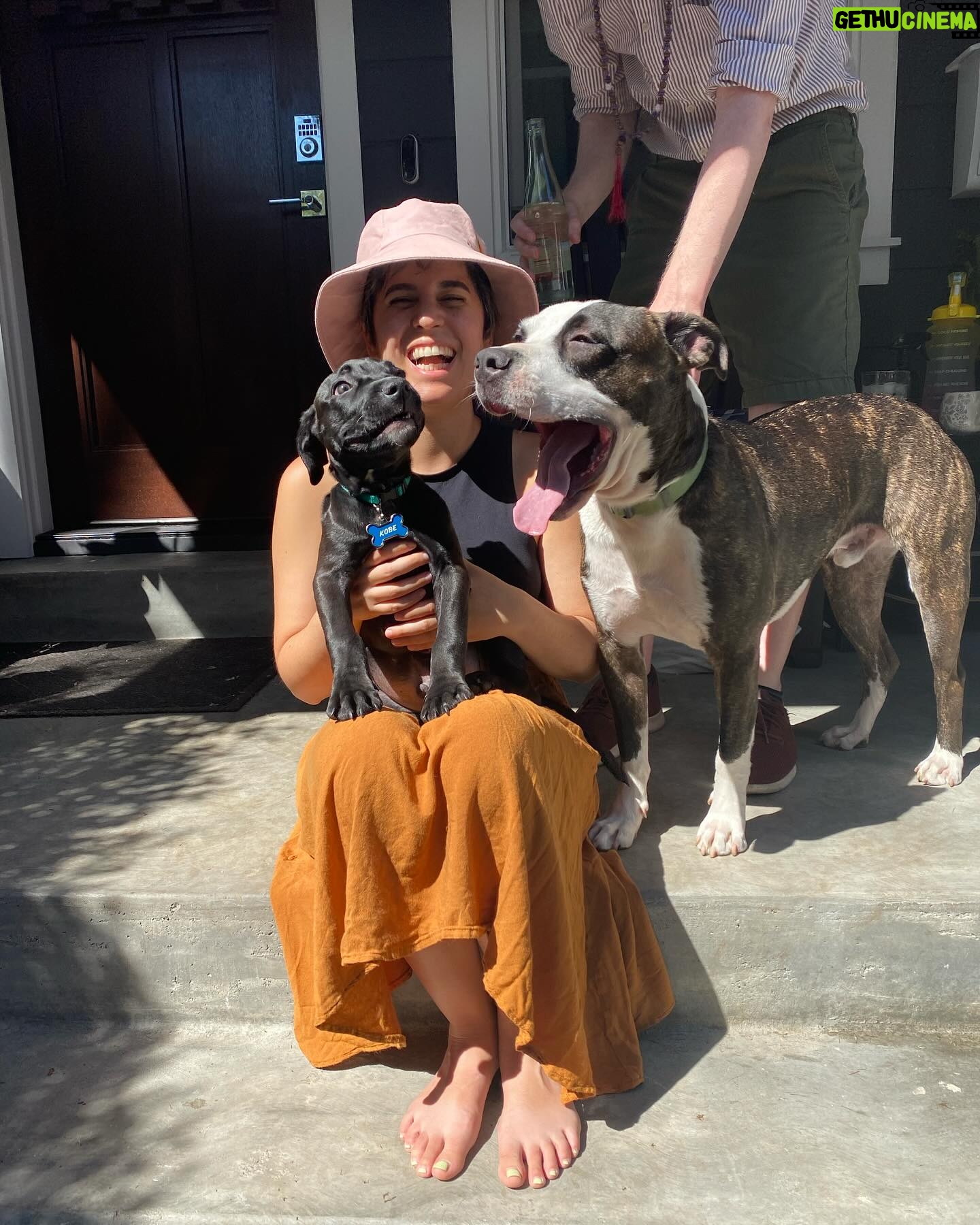 Imani Hakim Instagram - screamingggg happy 3rd birthday to our beautiful boy, Kobe. my bean, you bring so much joy and love into our lives every single day. so much so, it was completely IMPOSSIBLE to choose only 10 moments to share with the people— please enjoy our fur baby being an absolute stuuuud, okay?! kobe’s faves: a rally at the park— he’s not too shy to instigate playtime. boundaries. sometimes, he needs introvert time without me— though i don’t always agree. i have to respect it. food and snacks?! oh he bout to smash. being warm. he’s a california boy through in through— and definitely my son. there’s no sunshine… then what are we even talking abouuut?! and of course a good snuggle sesh, especially if a blanket and his favorite people are involved. love you sweet angel 🥹🥹😭