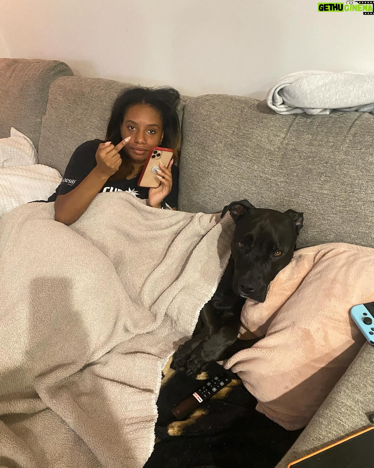 Imani Hakim Instagram - screamingggg happy 3rd birthday to our beautiful boy, Kobe. my bean, you bring so much joy and love into our lives every single day. so much so, it was completely IMPOSSIBLE to choose only 10 moments to share with the people— please enjoy our fur baby being an absolute stuuuud, okay?! kobe’s faves: a rally at the park— he’s not too shy to instigate playtime. boundaries. sometimes, he needs introvert time without me— though i don’t always agree. i have to respect it. food and snacks?! oh he bout to smash. being warm. he’s a california boy through in through— and definitely my son. there’s no sunshine… then what are we even talking abouuut?! and of course a good snuggle sesh, especially if a blanket and his favorite people are involved. love you sweet angel 🥹🥹😭
