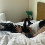 Imani Hakim Instagram - screamingggg happy 3rd birthday to our beautiful boy, Kobe. my bean, you bring so much joy and love into our lives every single day. so much so, it was completely IMPOSSIBLE to choose only 10 moments to share with the people— please enjoy our fur baby being an absolute stuuuud, okay?! kobe’s faves: a rally at the park— he’s not too shy to instigate playtime. boundaries. sometimes, he needs introvert time without me— though i don’t always agree. i have to respect it. food and snacks?! oh he bout to smash. being warm. he’s a california boy through in through— and definitely my son. there’s no sunshine… then what are we even talking abouuut?! and of course a good snuggle sesh, especially if a blanket and his favorite people are involved. love you sweet angel 🥹🥹😭