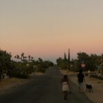Imani Hakim Instagram - i love to dump. too many good things.
