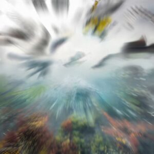 Imogen Heap Instagram - Introducing Chordata Bytes I, the first of this surprise double instrumental album created in collaboration with my fab biologist and wildlife filmmaker friend @danowild. 

Born as a bespoke soundtrack for the @audible_uk podcast “Climate of Change” produced by @storyhunteruk. 

I wove together Dan’s own curated collection of amazing wildlife sounds to spark and conjure up these rather unusual little ditties! The full first 12 tracks and a commentary for more insight are up now - Hope you enjoy it!  https://ffm.to/chordatabytes1 (link in bio) 

p.s. felt appropriate to release and frame the start and end of #cop27. You can expect another announcement on Nov 18th for part two!

🎨 by @jacobhulmston 
📸 by @fionagarden