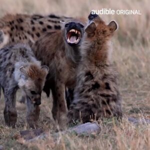 Imogen Heap Instagram - Find out how Dan O’Neill and I took the sounds of tigers, egrets and owls to make the soundtrack for Climate of Change series – a podcast from @Audible_UK.   Take a look behind the scenes with the link in bio