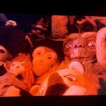 Imogen Poots Instagram -