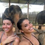 Inès Sberro Instagram – Journée avec maman au sanctuaire des éléphants 🐘 Ici beaucoup d’éléphants sont âgés mais pas que.. par exemple celui que je nourris dans la vidéo a 77 ans 🥰 Ce sont des éléphants sauvés de la maltraitance, ils ne sont pas attachés et ont ne montent pas dessus, ont peut seulement les nourrir.. 🩷 Si vous aimez les animaux svp boycotter.. ne payez pas pour voir des animaux malheureux.. 🩷

(J’avais pas prévu d’aller aux éléphants et faire des photos d’où ma tenue de sport propre en sortant de la boxe thaï 😂)