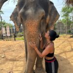 Inès Sberro Instagram – Journée avec maman au sanctuaire des éléphants 🐘 Ici beaucoup d’éléphants sont âgés mais pas que.. par exemple celui que je nourris dans la vidéo a 77 ans 🥰 Ce sont des éléphants sauvés de la maltraitance, ils ne sont pas attachés et ont ne montent pas dessus, ont peut seulement les nourrir.. 🩷 Si vous aimez les animaux svp boycotter.. ne payez pas pour voir des animaux malheureux.. 🩷

(J’avais pas prévu d’aller aux éléphants et faire des photos d’où ma tenue de sport propre en sortant de la boxe thaï 😂)