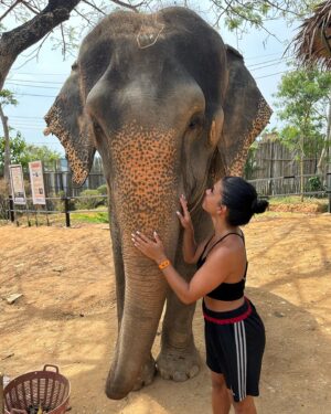Inès Sberro Instagram - Journée avec maman au sanctuaire des éléphants 🐘 Ici beaucoup d’éléphants sont âgés mais pas que.. par exemple celui que je nourris dans la vidéo a 77 ans 🥰 Ce sont des éléphants sauvés de la maltraitance, ils ne sont pas attachés et ont ne montent pas dessus, ont peut seulement les nourrir.. 🩷 Si vous aimez les animaux svp boycotter.. ne payez pas pour voir des animaux malheureux.. 🩷

(J’avais pas prévu d’aller aux éléphants et faire des photos d’où ma tenue de sport propre en sortant de la boxe thaï 😂)