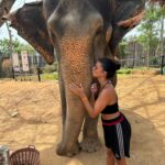 Inès Sberro Instagram – Journée avec maman au sanctuaire des éléphants 🐘 Ici beaucoup d’éléphants sont âgés mais pas que.. par exemple celui que je nourris dans la vidéo a 77 ans 🥰 Ce sont des éléphants sauvés de la maltraitance, ils ne sont pas attachés et ont ne montent pas dessus, ont peut seulement les nourrir.. 🩷 Si vous aimez les animaux svp boycotter.. ne payez pas pour voir des animaux malheureux.. 🩷

(J’avais pas prévu d’aller aux éléphants et faire des photos d’où ma tenue de sport propre en sortant de la boxe thaï 😂)