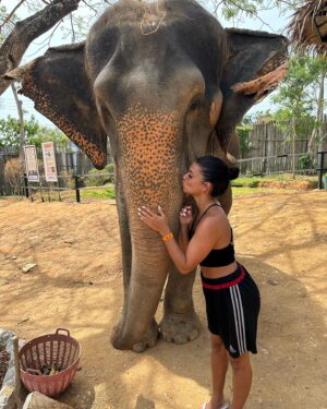Inès Sberro Instagram - Journée avec maman au sanctuaire des éléphants 🐘 Ici beaucoup d’éléphants sont âgés mais pas que.. par exemple celui que je nourris dans la vidéo a 77 ans 🥰 Ce sont des éléphants sauvés de la maltraitance, ils ne sont pas attachés et ont ne montent pas dessus, ont peut seulement les nourrir.. 🩷 Si vous aimez les animaux svp boycotter.. ne payez pas pour voir des animaux malheureux.. 🩷

(J’avais pas prévu d’aller aux éléphants et faire des photos d’où ma tenue de sport propre en sortant de la boxe thaï 😂)