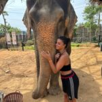 Inès Sberro Instagram – Journée avec maman au sanctuaire des éléphants 🐘 Ici beaucoup d’éléphants sont âgés mais pas que.. par exemple celui que je nourris dans la vidéo a 77 ans 🥰 Ce sont des éléphants sauvés de la maltraitance, ils ne sont pas attachés et ont ne montent pas dessus, ont peut seulement les nourrir.. 🩷 Si vous aimez les animaux svp boycotter.. ne payez pas pour voir des animaux malheureux.. 🩷

(J’avais pas prévu d’aller aux éléphants et faire des photos d’où ma tenue de sport propre en sortant de la boxe thaï 😂)