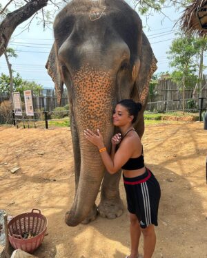 Inès Sberro Instagram - Journée avec maman au sanctuaire des éléphants 🐘 Ici beaucoup d’éléphants sont âgés mais pas que.. par exemple celui que je nourris dans la vidéo a 77 ans 🥰 Ce sont des éléphants sauvés de la maltraitance, ils ne sont pas attachés et ont ne montent pas dessus, ont peut seulement les nourrir.. 🩷 Si vous aimez les animaux svp boycotter.. ne payez pas pour voir des animaux malheureux.. 🩷

(J’avais pas prévu d’aller aux éléphants et faire des photos d’où ma tenue de sport propre en sortant de la boxe thaï 😂)