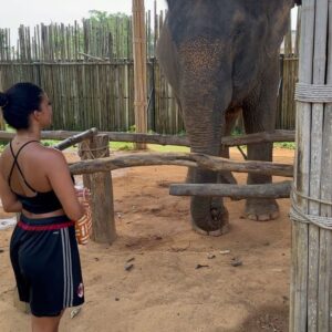 Inès Sberro Instagram - Journée avec maman au sanctuaire des éléphants 🐘 Ici beaucoup d’éléphants sont âgés mais pas que.. par exemple celui que je nourris dans la vidéo a 77 ans 🥰 Ce sont des éléphants sauvés de la maltraitance, ils ne sont pas attachés et ont ne montent pas dessus, ont peut seulement les nourrir.. 🩷 Si vous aimez les animaux svp boycotter.. ne payez pas pour voir des animaux malheureux.. 🩷

(J’avais pas prévu d’aller aux éléphants et faire des photos d’où ma tenue de sport propre en sortant de la boxe thaï 😂)