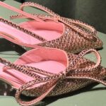 Inès de La Fressange Instagram - Roger Vivier day … #presspresentation #pfw @rogervivier @gherardofelloni #success #shoesaddict