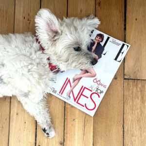 Inès de La Fressange Instagram - une couverture c’est toujours mieux que le parquet… #AucunRespect #dinkypresident #AquoiÇaSertQueJeMeDécarcasse #30millionsdamis #cover #ChenilNo5