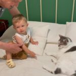 Inés Palombo Instagram – Mi Pipo, mi primer mascota, el que me hizo conocer realmente el amor por los animales.
Vamos a extrañar tus ronroneos, pedidos de mimos, acariciarte la cabeza suavecita.
Pensaba en el día que te fuí a buscar, te elegí por ser el más movedizo de tus hermanos, te llevé adentro de una cajita y estaba movilizada y con miedo sin saber con lo que me estaba por encontrar.
Muy rápido nos amamos y fuiste un gran compañero gran parte de mi vida (como algunos saben, por diferentes motivos, hace unos años que vivía con mis papás, y que importantes fueron mutuamente).
Gracias por todo el amor, por lo que nos enseñaste y por acompañar a mis papás este tiempo que sé que fue hermoso y muy importante para ellos también. Y que alegría saber que Feli te conoció y disfrutó (vé un gato y dice Pipo, y a veces lo imita ❤️).
Fuiste un gran maestro.
Te amo. Que descanses en paz nuestro Pipo ❤️
#mascota #gato #amor #despedida #dolor #qdep