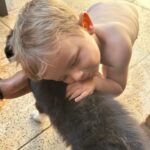 Inés Palombo Instagram - Se agrandó la familia! Bienvenida Maui! 🤍 Estoy movilizada y sin entender mucho jaja y Feli pasa del amor al pánico en un segundo 😅 (Ayer a la mañana no tenía idea de que esto podía pasar, se lo regalaron a @nico.ugarte y lo adoptamos con todo el amor pero ya les voy a contar bien 🙃) #perro #mascota #familia #mascota #oerro #amor