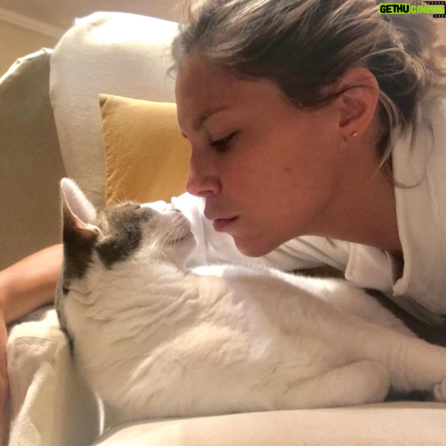 Inés Palombo Instagram - Mi Pipo, mi primer mascota, el que me hizo conocer realmente el amor por los animales. Vamos a extrañar tus ronroneos, pedidos de mimos, acariciarte la cabeza suavecita. Pensaba en el día que te fuí a buscar, te elegí por ser el más movedizo de tus hermanos, te llevé adentro de una cajita y estaba movilizada y con miedo sin saber con lo que me estaba por encontrar. Muy rápido nos amamos y fuiste un gran compañero gran parte de mi vida (como algunos saben, por diferentes motivos, hace unos años que vivía con mis papás, y que importantes fueron mutuamente). Gracias por todo el amor, por lo que nos enseñaste y por acompañar a mis papás este tiempo que sé que fue hermoso y muy importante para ellos también. Y que alegría saber que Feli te conoció y disfrutó (vé un gato y dice Pipo, y a veces lo imita ❤️). Fuiste un gran maestro. Te amo. Que descanses en paz nuestro Pipo ❤️ #mascota #gato #amor #despedida #dolor #qdep