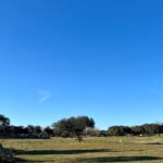 Inês Aguiar Instagram - No campo