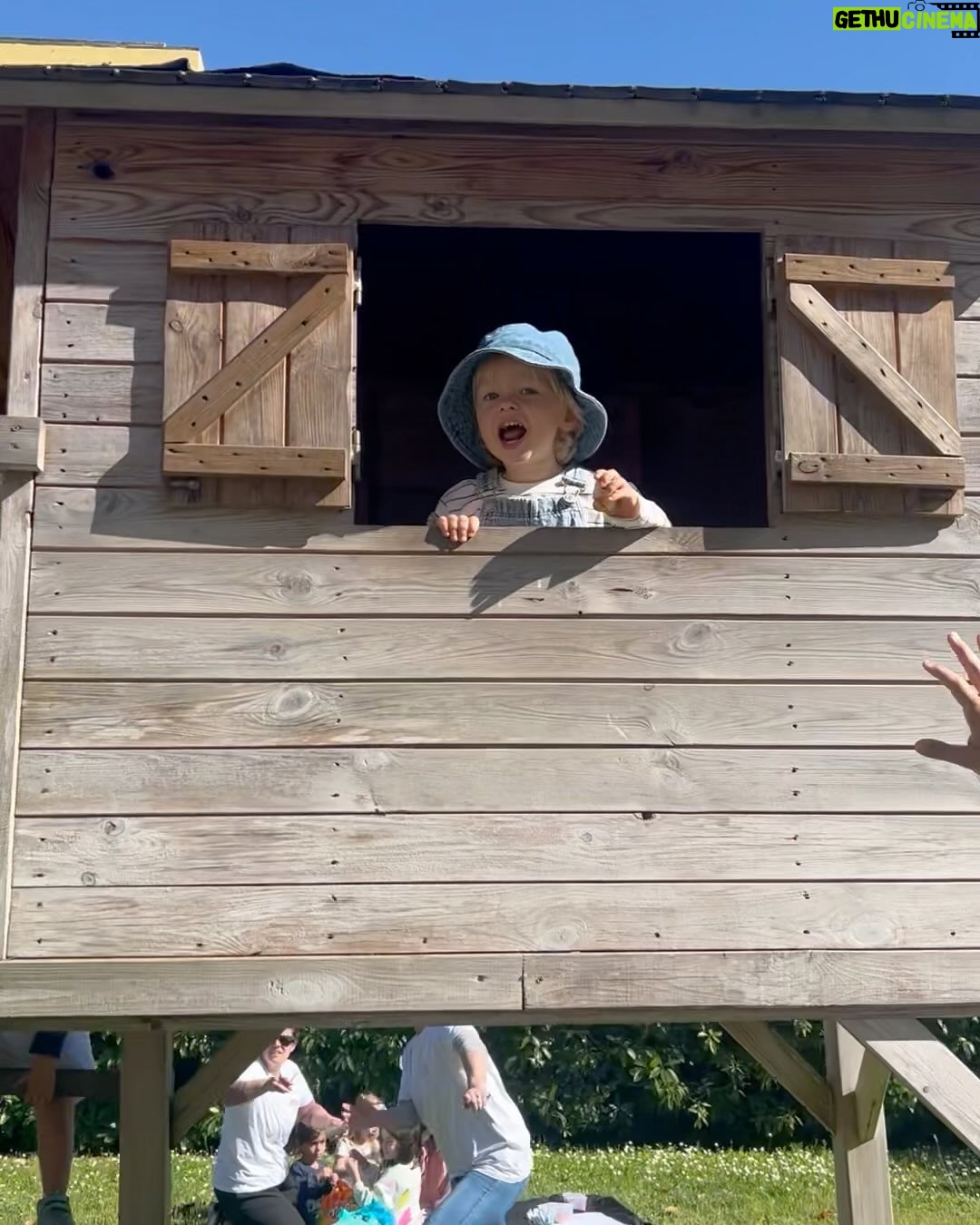 Inês Aires Pereira Instagram - Bichinhos!