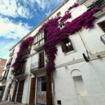 Inês Castel-Branco Instagram - Ibiza I Love you