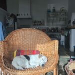 Inês Castel-Branco Instagram – Bué cenas ❤️