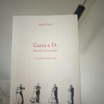 Inês Castel-Branco Instagram - Que bonito ❤️
