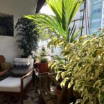 Inês Castel-Branco Instagram - Uma pequena coleção de coisas boas.