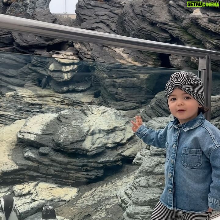 Inês Gutierrez Instagram - Sobre este fim de semana :’) Engraçado como sinto que gastei a (minha) bateria, em vez de a carregar. Mas, na verdade, gastei-a com amor, intensidade e coisas bonitas. Se for sempre assim, não me importo de ficar a 0% ao nível da energia. É que fico a 100% no ❤️. Para registarem: @sheratoncascais está no top dos meus sítios favoritos de fim de semana, seja com ou sem dormida. E o “Fado Miudinho” do Oceanário é um espectáculo para crianças (até aos 4 anos) que vale muito a pena! #fimdesemana #familia #diadamae #sheratoncascais #oceanario #favoritos #coisasbonitas