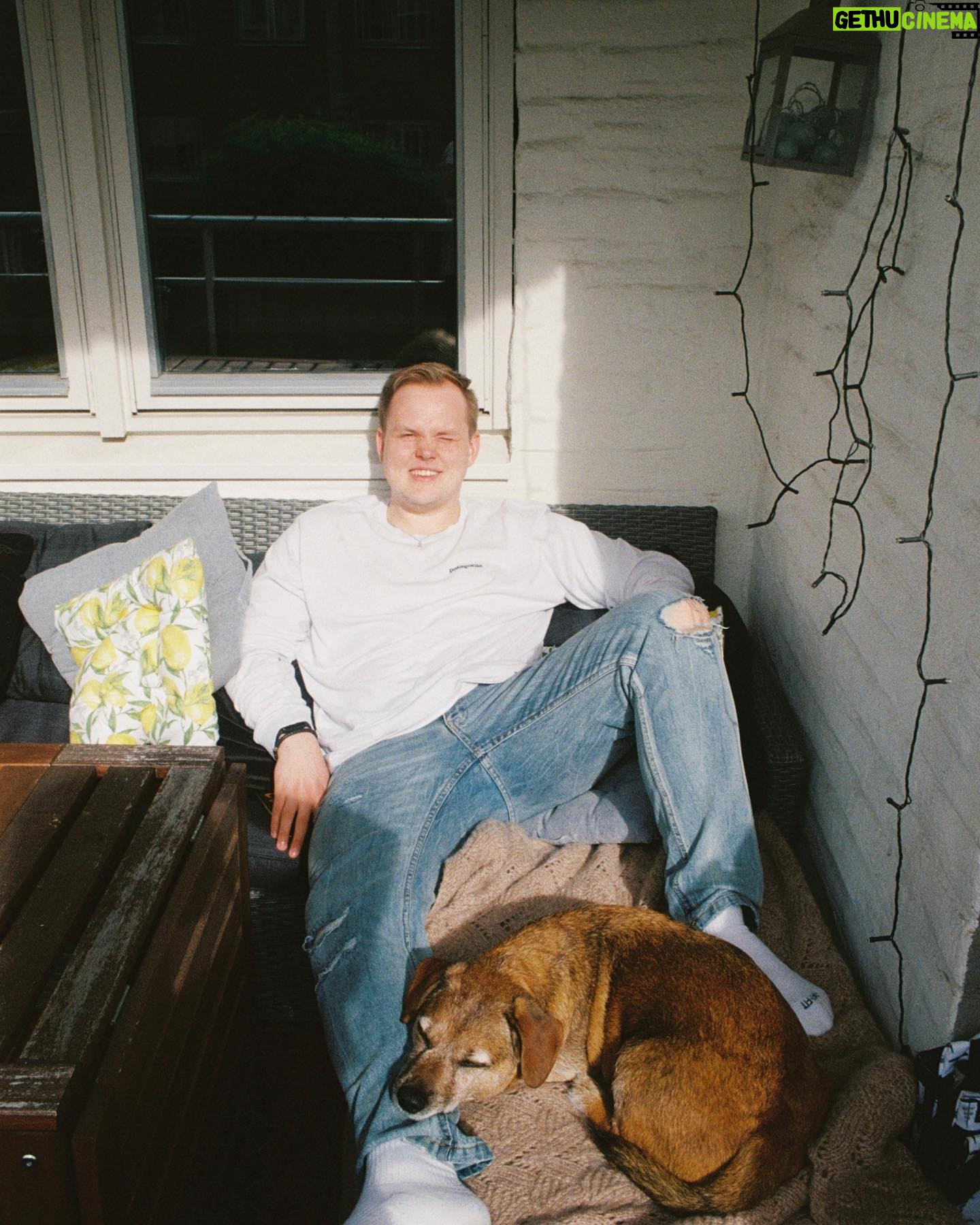 Ina Svenningdal - 0.9K Likes - I call this photo «boy and furry friend on film» 🎞️