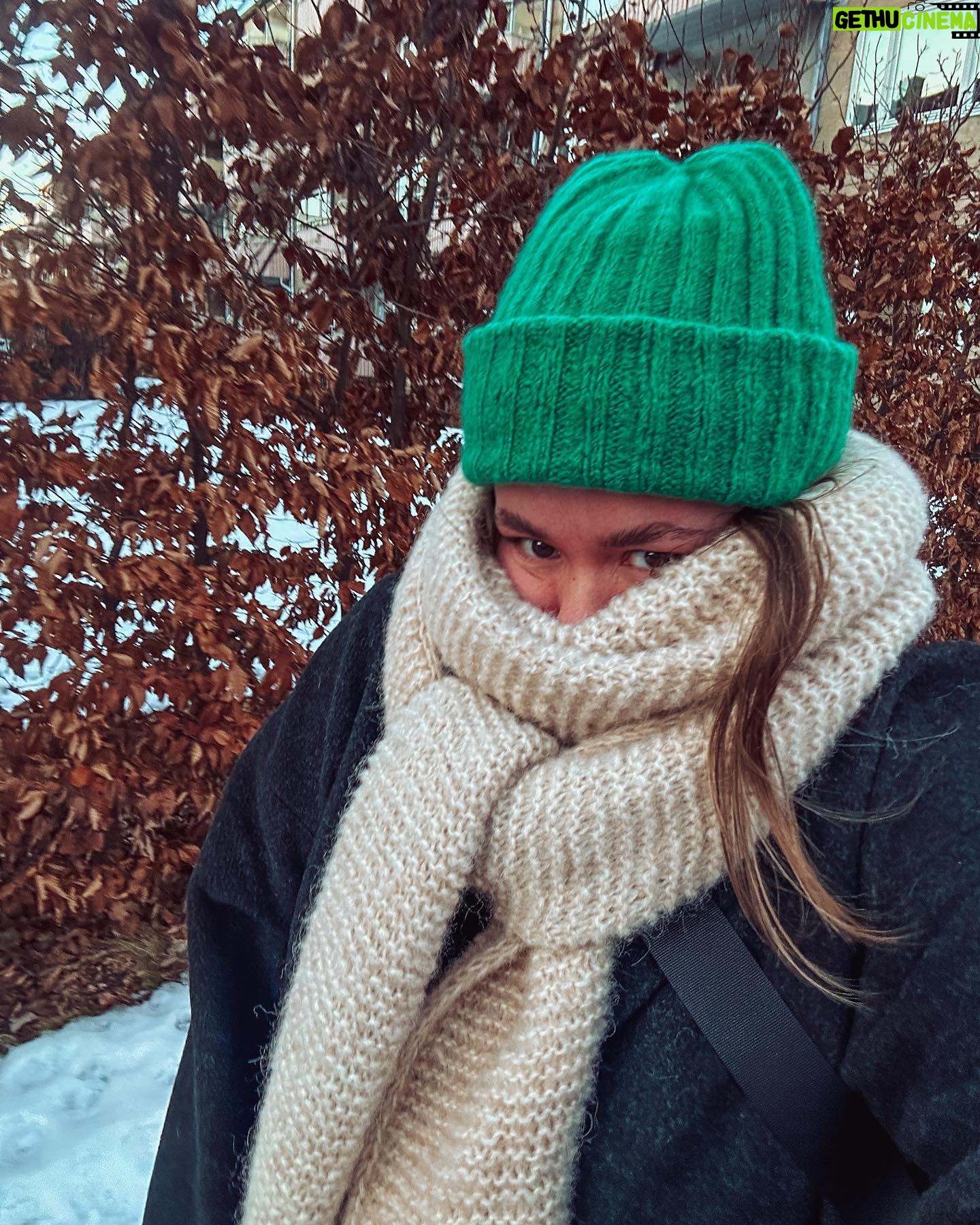 Ina Svenningdal - 1.7K Likes - Peekaboo into spring with my new self knitted babies🌟