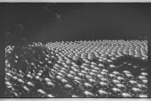 Inde Navarrette Instagram - B&W film by me, my favorite is the installation by Yahoo made in 1929! (last slide explains the meaning 🕊)
@crystalbridgesmuseum