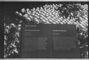 Inde Navarrette Instagram - B&W film by me, my favorite is the installation by Yahoo made in 1929! (last slide explains the meaning 🕊)
@crystalbridgesmuseum