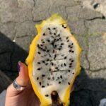 Inde Navarrette Instagram – this looks familiar