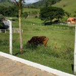 Indira Nascimento Instagram – Sapucaia, 2024.