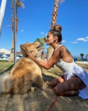 İpek Bağrıaçık Instagram - Hellö #teddygirl 
•
•
•
•
•
#chowchow 
#chowchowpuppy 
#chowchowlovers 
#doglovers 
#chowchowlife