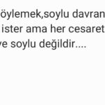 İpek Tenolcay