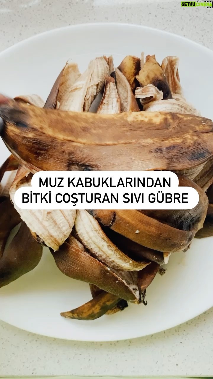 İpek Yaylacıoğlu - 3.7K Likes -