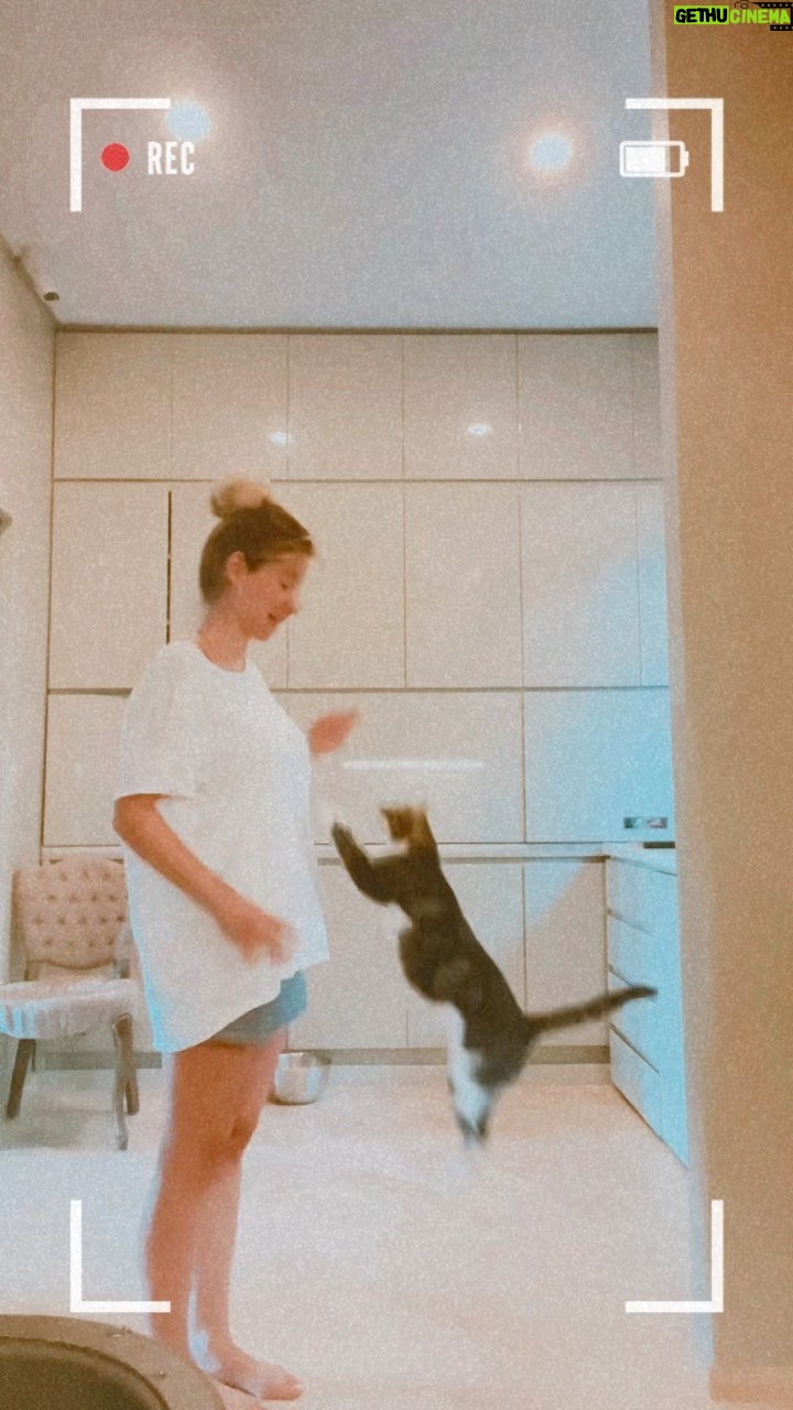 İpek Yaylacıoğlu - 2.3K Likes - Seviyorum merkez 😍 #kedivideoları #catvideos #chèrie 🤍